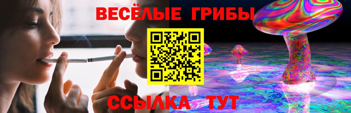 Тара  Галлюциногенные грибы MAGIC MUSHROOMS  Вход с VPN 